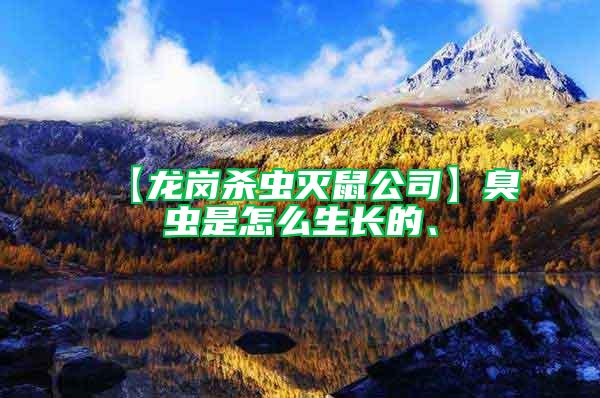 【龍崗殺蟲滅鼠公司】臭蟲是怎么生長的、