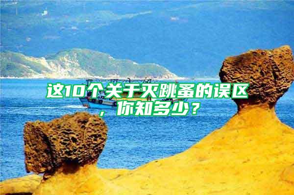 這10個關(guān)于滅跳蚤的誤區(qū)，你知多少？