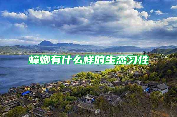 蟑螂有什么樣的生態習性