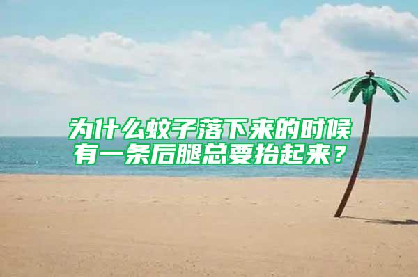 為什么蚊子落下來的時(shí)候有一條后腿總要抬起來？