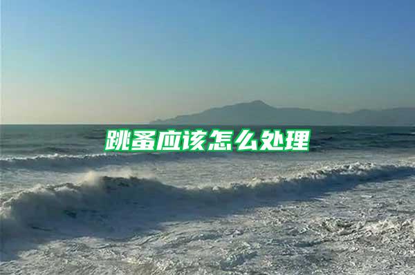 跳蚤應該怎么處理