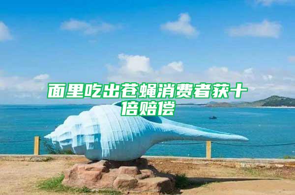 面里吃出蒼蠅消費者獲十倍賠償