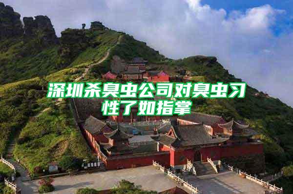 深圳殺臭蟲公司對臭蟲習(xí)性了如指掌