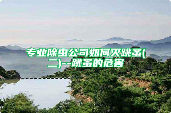 專業(yè)除蟲公司如何滅跳蚤(二)--跳蚤的危害