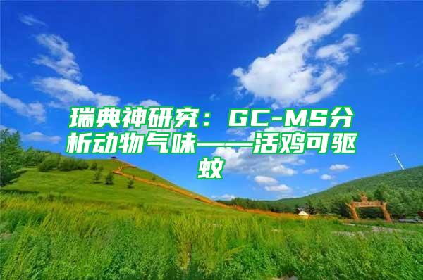 瑞典神研究：GC-MS分析動物氣味——活雞可驅蚊