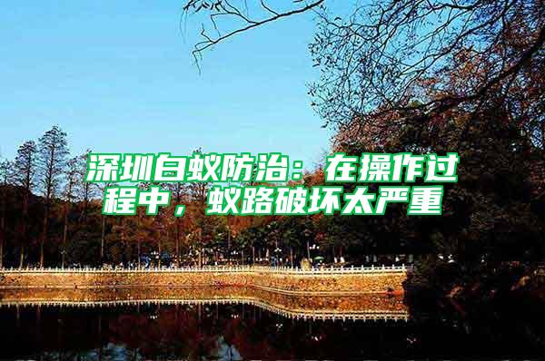 深圳白蟻防治：在操作過程中，蟻路破壞太嚴(yán)重