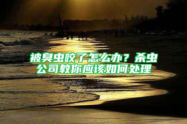 被臭蟲咬了怎么辦？殺蟲公司教你應該如何處理
