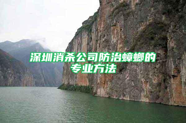 深圳消殺公司防治蟑螂的專業方法