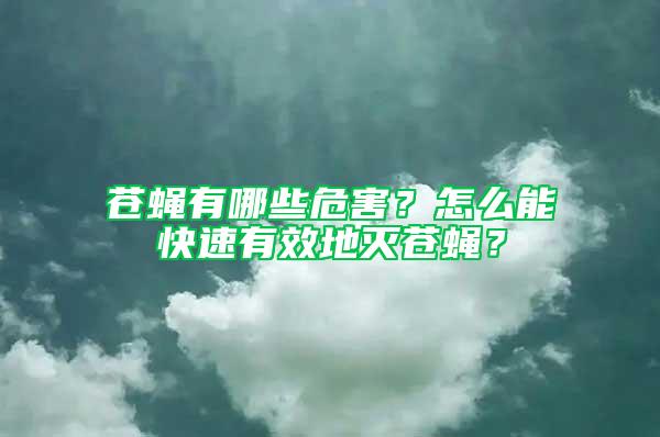 蒼蠅有哪些危害？怎么能快速有效地滅蒼蠅？