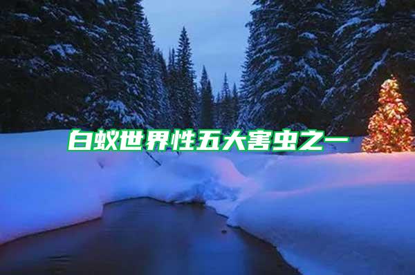 白蟻世界性五大害蟲之一