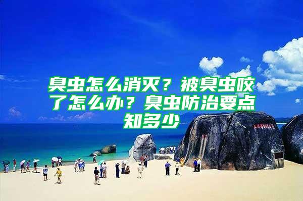 臭蟲怎么消滅？被臭蟲咬了怎么辦？臭蟲防治要點知多少