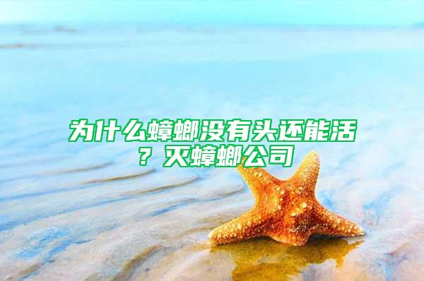 為什么蟑螂沒有頭還能活？滅蟑螂公司