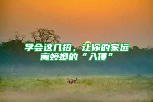 學會這幾招，讓你的家遠離蟑螂的“入侵”