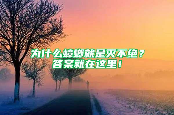 為什么蟑螂就是滅不絕？答案就在這里！
