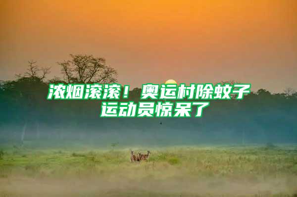 濃煙滾滾！奧運村除蚊子 運動員驚呆了