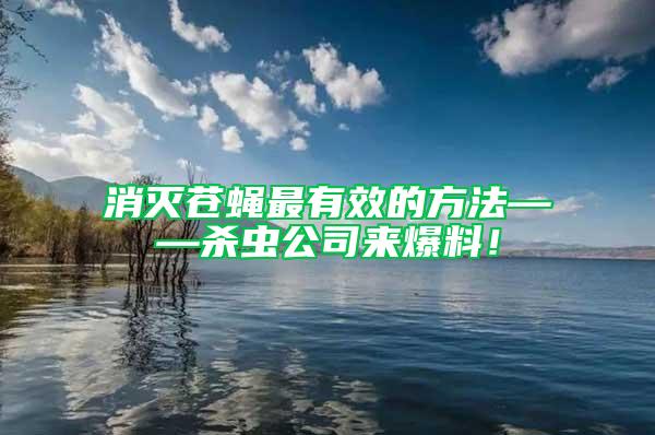 消滅蒼蠅最有效的方法——?dú)⑾x(chóng)公司來(lái)爆料！