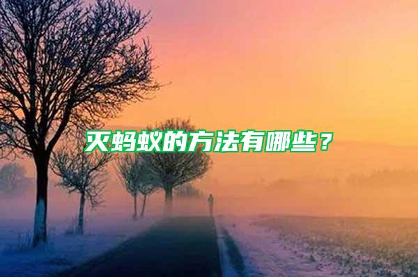 滅螞蟻的方法有哪些？