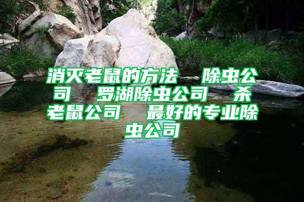 消滅老鼠的方法  除蟲公司  羅湖除蟲公司  殺老鼠公司  最好的專業除蟲公司