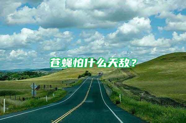 蒼蠅怕什么天敵？