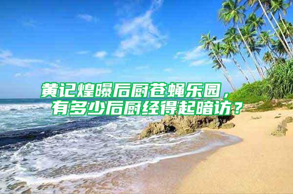 黃記煌曝后廚蒼蠅樂(lè)園， 有多少后廚經(jīng)得起暗訪？