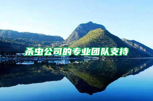 殺蟲公司的專業(yè)團(tuán)隊(duì)支持