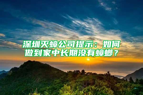 深圳滅蟑公司提示：如何做到家中長期沒有蟑螂？