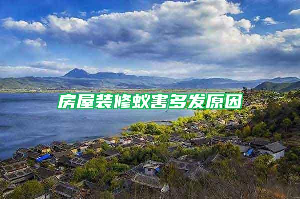 房屋裝修蟻害多發原因