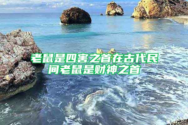 老鼠是四害之首在古代民間老鼠是財(cái)神之首