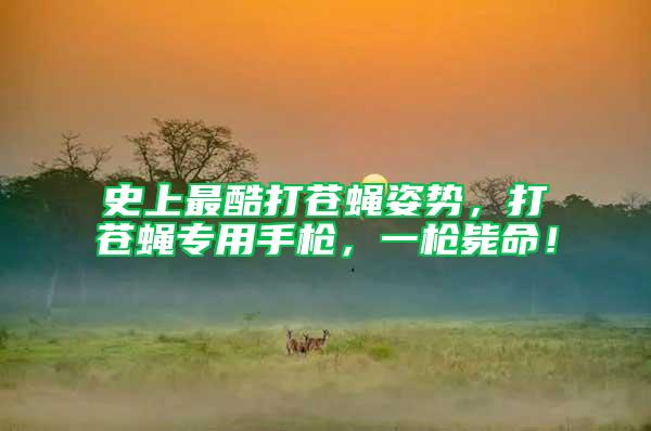 史上最酷打蒼蠅姿勢，打蒼蠅專用手槍，一槍斃命！