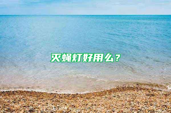 滅蠅燈好用么？