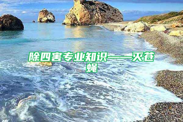 除四害專業知識——滅蒼蠅