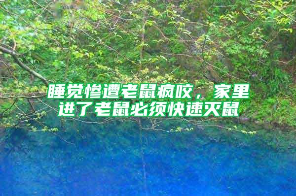 睡覺(jué)慘遭老鼠瘋咬，家里進(jìn)了老鼠必須快速滅鼠