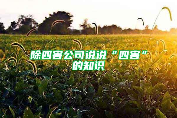 除四害公司說說“四害”的知識(shí)