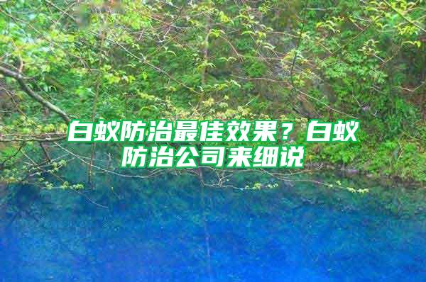 白蟻防治最佳效果？白蟻防治公司來細說