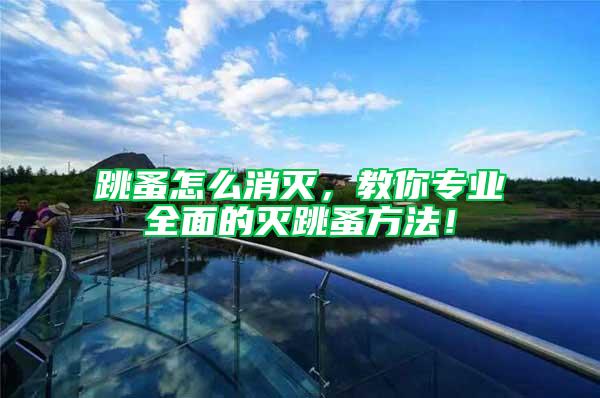 跳蚤怎么消滅，教你專業(yè)全面的滅跳蚤方法！