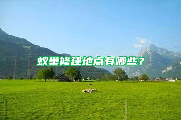 蟻巢修建地點(diǎn)有哪些？