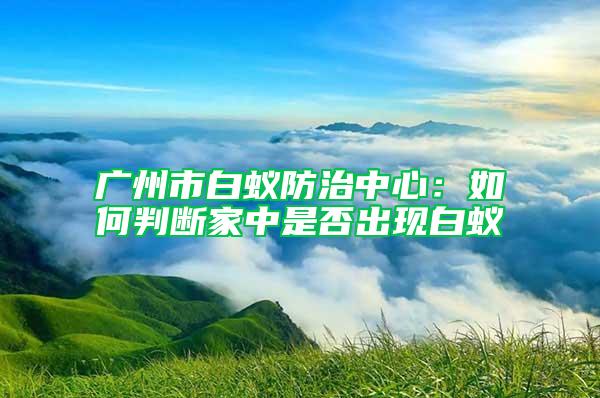 廣州市白蟻防治中心：如何判斷家中是否出現白蟻