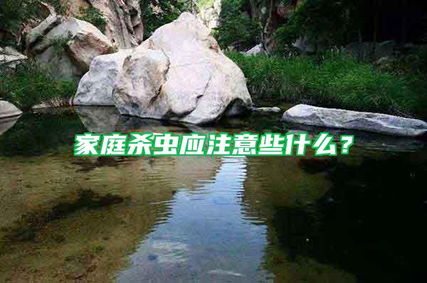 家庭殺蟲應注意些什么？