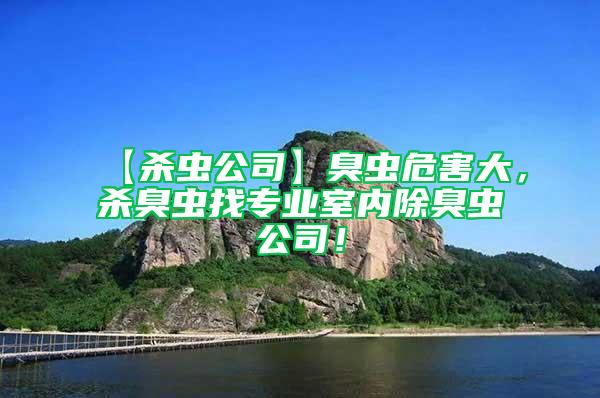 【殺蟲公司】臭蟲危害大，殺臭蟲找專業(yè)室內(nèi)除臭蟲公司！