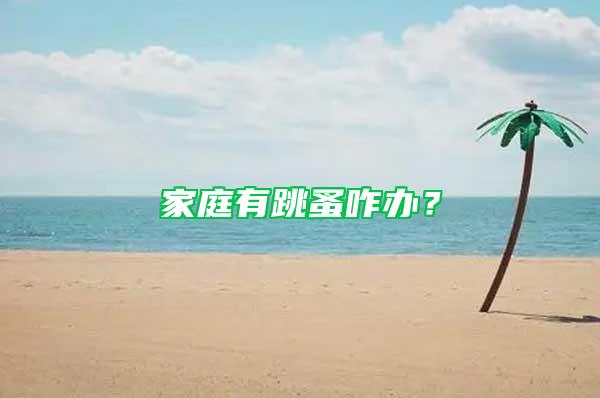 家庭有跳蚤咋辦？