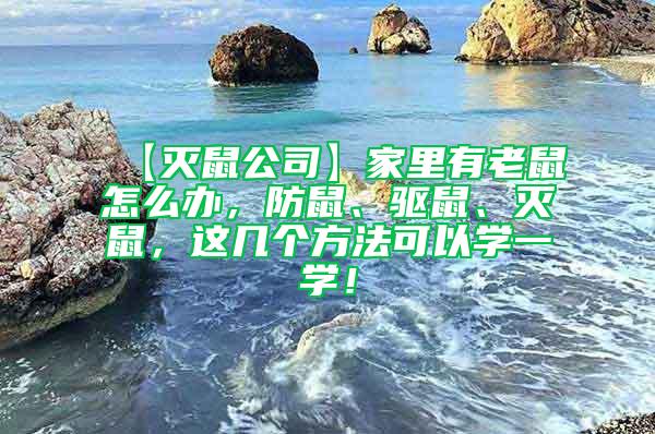 【滅鼠公司】家里有老鼠怎么辦，防鼠、驅(qū)鼠、滅鼠，這幾個(gè)方法可以學(xué)一學(xué)！