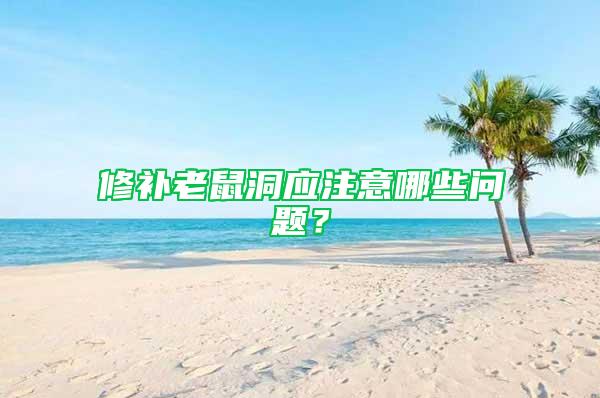 修補(bǔ)老鼠洞應(yīng)注意哪些問題？