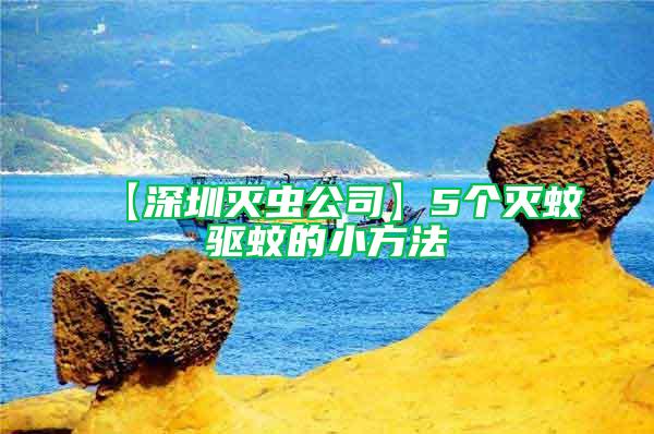 【深圳滅蟲(chóng)公司】5個(gè)滅蚊驅(qū)蚊的小方法