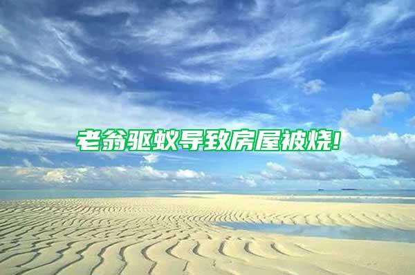 老翁驅蟻導致房屋被燒!