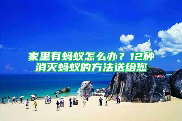 家里有螞蟻怎么辦？12種消滅螞蟻的方法送給您