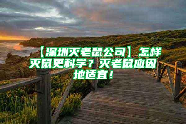 【深圳滅老鼠公司】怎樣滅鼠更科學？滅老鼠應因地適宜！