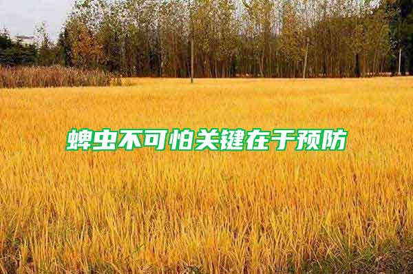 蜱蟲不可怕關鍵在于預防