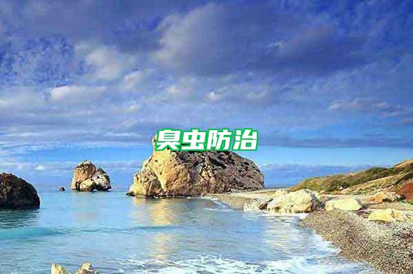 臭蟲防治