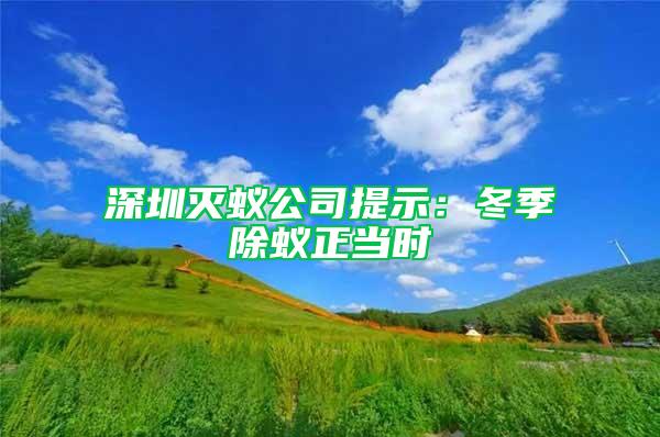 深圳滅蟻公司提示：冬季除蟻正當時