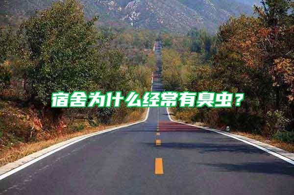 宿舍為什么經常有臭蟲？